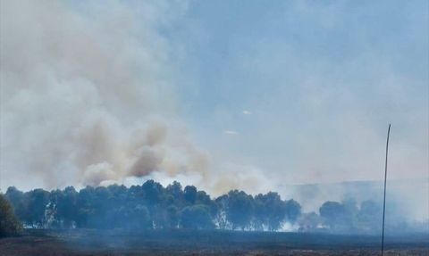 Kırklareli'nde Tarım Arazisinde Başlayan Yangın Kontrol Altına Alındı