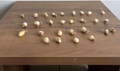 Kocaeli'de Jandarma Uyuşturucu Operasyonu