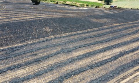 Kocaeli'de Tarım Arazisinde Yangın: 150 Dönüm Zarar Gördü