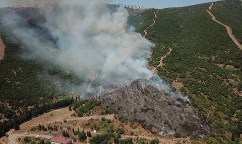 Kocaeli'deki Yangın Kontrol Altına Alındı
