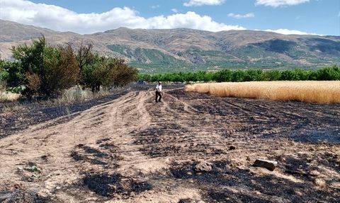 Malatya'da Yangın Kontrol Altına Alındı