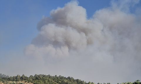 Manisa Ahmetli'de Orman Yangınına Müdahele