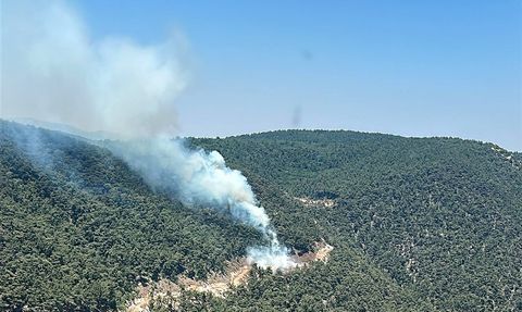 Manisa'daki Orman Yangını Kontrol Altına Alındı