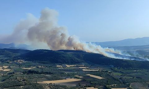 Manisa'da Orman Yangınına Müdahale Ediliyor