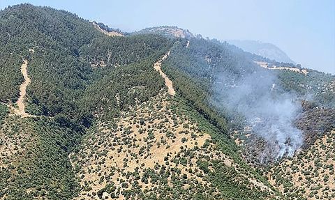 Alaşehir'deki Orman Yangını Kontrol Altına Alındı