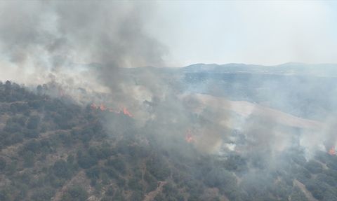 Manisa'nın Kula İlçesinde Orman Yangını Kontrol Altına Alındı