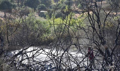 Marmaris'teki Orman Yangını Kontrol Altına Alındı