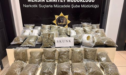 Mersin'de Minibüs İçinde Skunk Ele Geçirildi