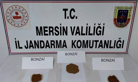 Mersin'de Uyuşturucu Operasyonu: 1 Tutuklama