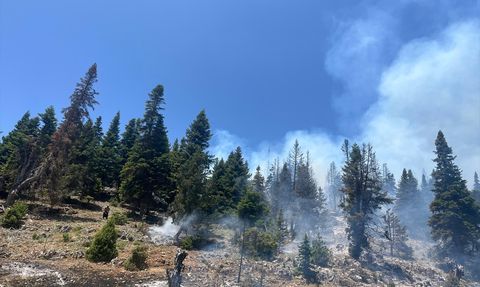 Mersin'deki Orman Yangını Kontrol Altına Alındı