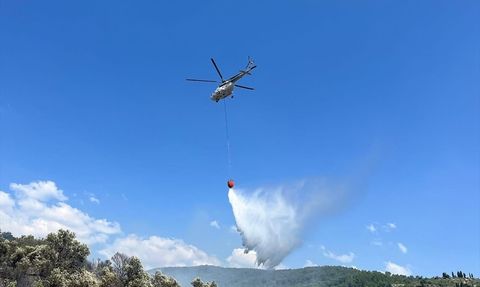 Muğla'daki Zeytinlik Yangını Kontrol Altına Alındı