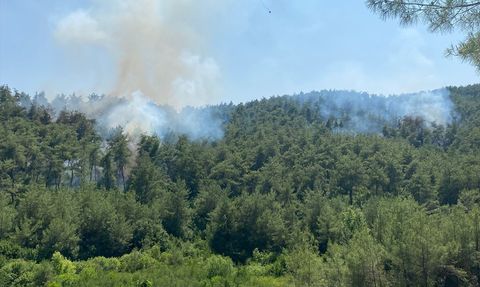 Osmaniye'deki Orman Yangını Kontrol Altına Alındı