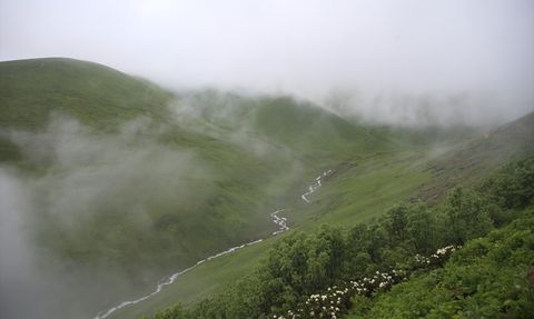 Rize'de 20. Dağ Horozu Şenliği Coşkuyla Gerçekleşti