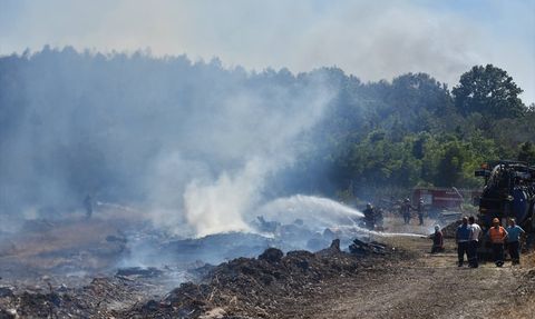 Sakarya'da Orman Deposu Yangınına Müdahale Devam Ediyor