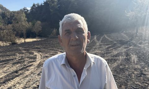 Sakarya'da Orman Yangını: Çiftçi Mustafa Bulut'un Zararları