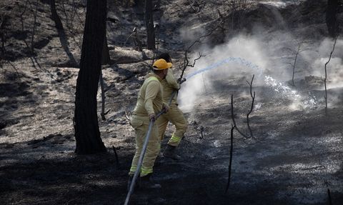 Sakarya'da Orman Yangınına Müdahale Devam Ediyor