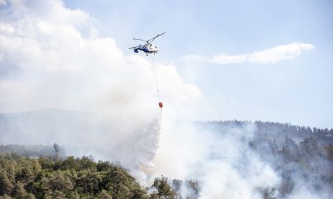 Sakarya'daki Orman Yangınına Müdahale Devam Ediyor