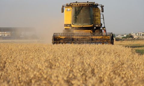 Şanlıurfa'da Nohut Hasadı ve İhtiyaç Sahiplerine Dağıtım