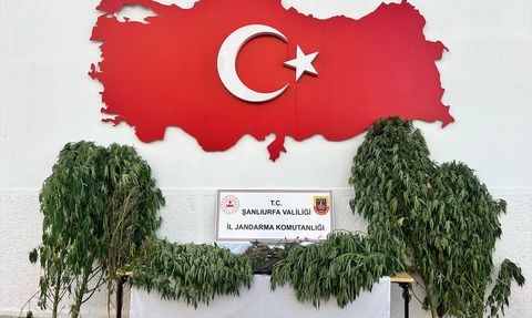 Şanlıurfa Uyuşturucu Operasyonu: 6 Gözaltı