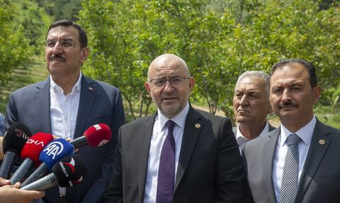 TBMM Komisyonu Bolu'da Ceviz Bahçesini İnceledi