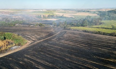 Tekirdağ'da Yangın 1500 Dekar Tarım Arazisini Vurdu