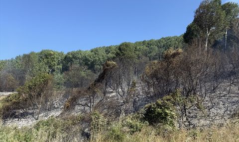 Tekirdağ'da Yangın Kontrol Altına Alındı