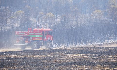 Tekirdağ'daki Orman Yangınına Müdahale Başlatıldı