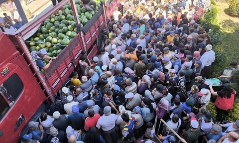 Tokat'ta Ücretsiz Karpuz Dağıtımı