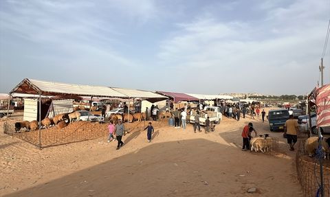 Trablus'taki Çatışmalar Kurban Pazarlarını Olumsuz Etkiliyor