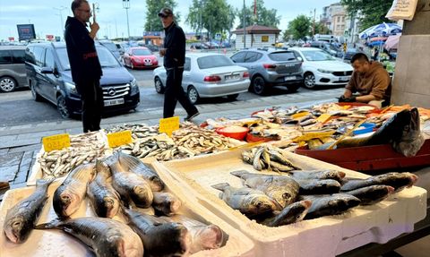Trabzon Balıkçılarında Bereket Dönemi