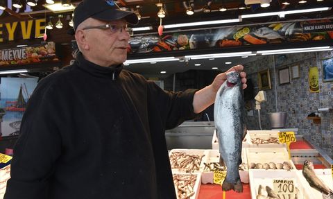 Trabzon'un Balık Tezgahlarında Somon ve Alabalık Fırtınası