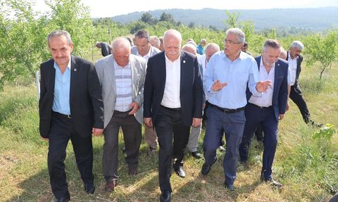 TZOB Başkanı Şemsi Bayraktar, Karabük'te Zirai Dondan Etkilenen Tarım Alanlarını İnceledi