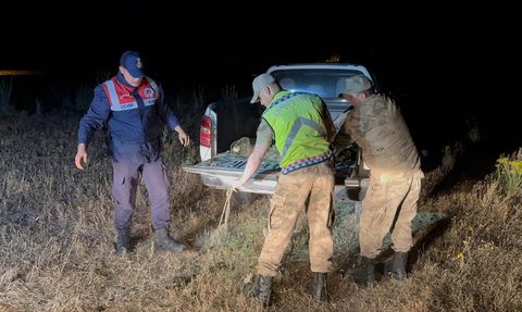 Van'da Kaçak Avlanan Inci Kefalleri Suya Bırakıldı