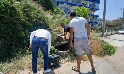 Yalova'da Yaralı Su Samuru Kurtarıldı