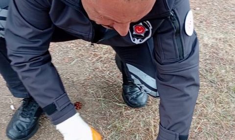 Yozgat'ta Kediyi Konserve Kutusundan Kurtaran Kahraman Güvenlik Görevlisi