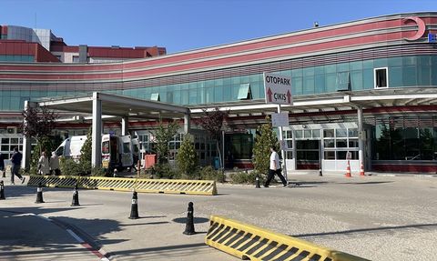 Afyonkarahisar'da Orman Yangını Yararları Taburcu Oldu