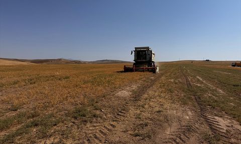 Aksaray'da İhtiyaç Sahiplerine Nohut Dağıtımı