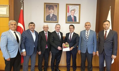 Antalya Tarım Konseyi, Meyve Sebze Sektörü İçin Önemli Rapor Sunudu