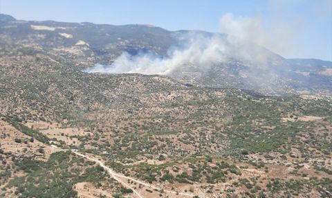 Aydın'da Tarım Alanında Yangın Kontrol Altına Alındı
