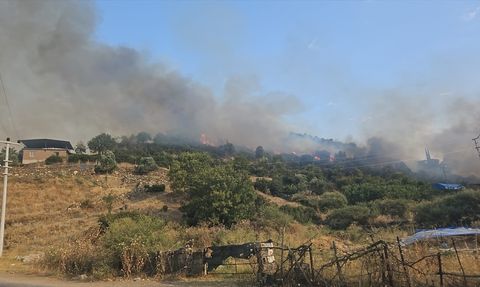 Aydın'da Tarım Alanında Yangın Kontrol Altına Alındı