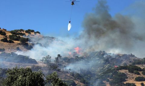 Aydın'da Zeytinlik Alanda Yangın Kontrol Altına Alındı