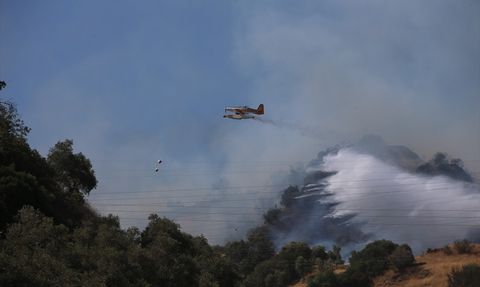 Aydın'daki Orman Yangını Kontrol Altında