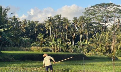 Bali: Sosyal Medya Turizminin Yeni Merkezi