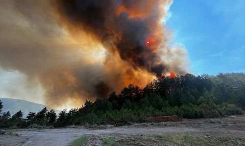 Balıkesir'deki Orman Yangınına Hızla Müdahale Ediliyor