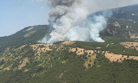 Balıkesir'de Orman Yangınına Müdahale Devam Ediyor