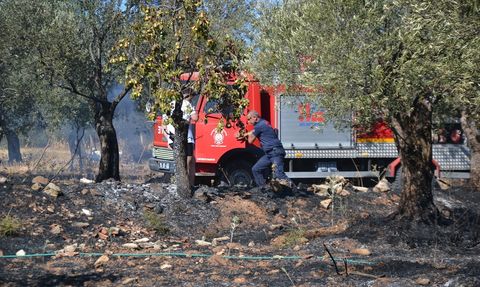 Balıkesir'de Zeytinlik Yangını Kontrol Altına Alındı