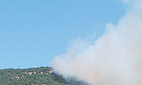 Balıkesir'deki Orman Yangını Kontrol Altına Alındı