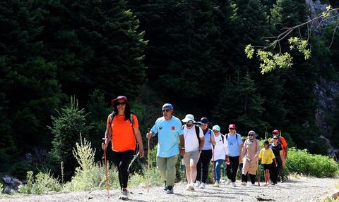 Berçin Yaylası: Doğaseverlerin Yeni Sığınağı