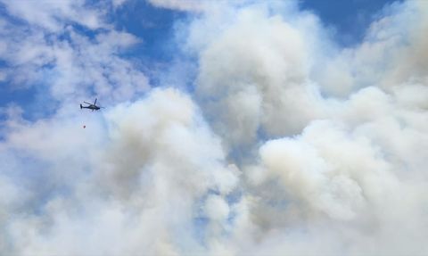 Bilecik Orman Yangınına Müdahale Devam Ediyor