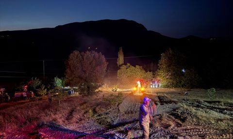 Bilecik'te Orman Yangını Kontrol Altına Alındı